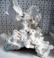 Korallenwelt Säulenhöhle mini ca. 8cm hoch (D36)