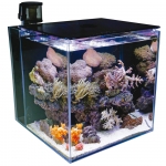 TMC MicroHabitat 30 – Nano-Meerwasseraquarium