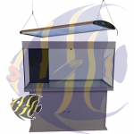 Aqua Medic Anthias 120 Komplettaquarium Oceanlight Plus T5