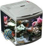 Aquatic Nature Evolution Typ I (Farbe: silber)