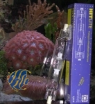 BLV Nepturion Brenner 150W 14000 Kelvin double ended