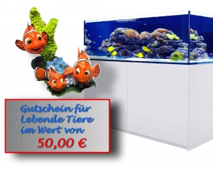 Aktion: Neues Aquarium und Erstbesatz **verlängert bis 31.8.**