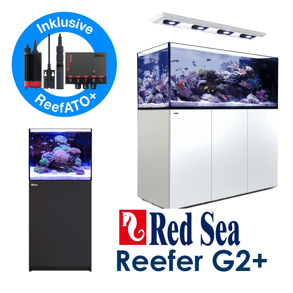 Meeresaquaristik News: The new Reefer G2 + (plus) - incl. ATO+ Refill System