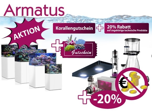 Meeresaquaristik News: Armatus Aktion