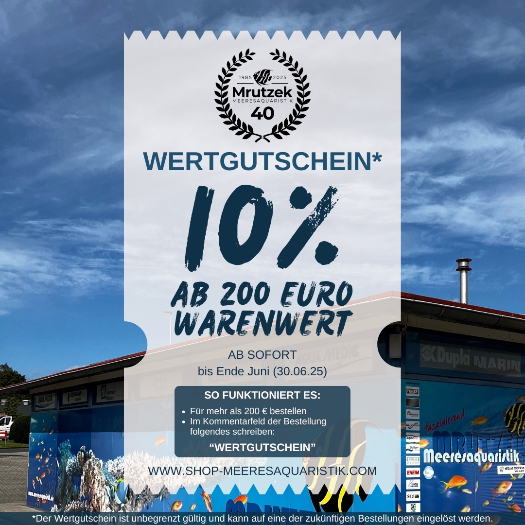 10% Wertgutschein ab 200 Euro Warenwert