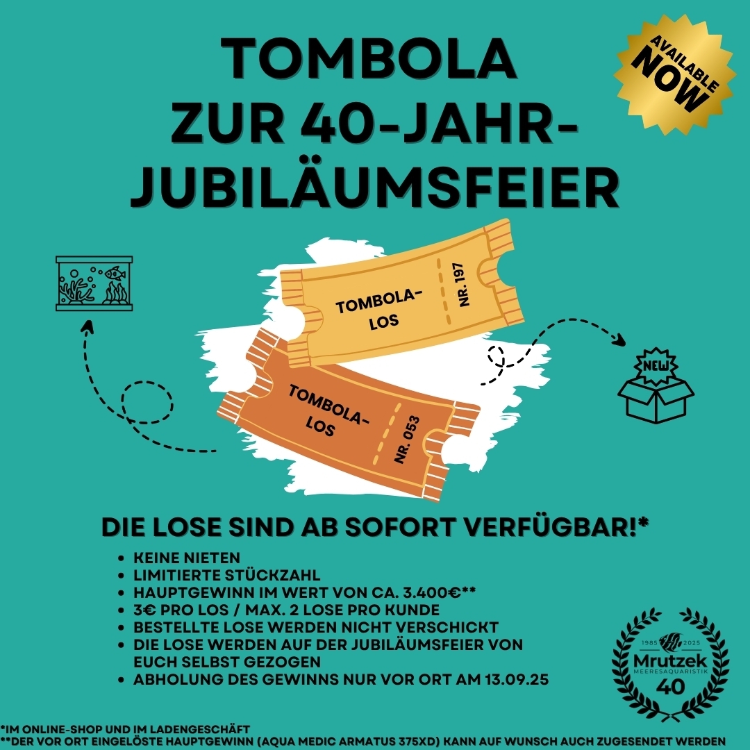 Meeresaquaristik News: Tombola Lose - ab sofort verfügbar!