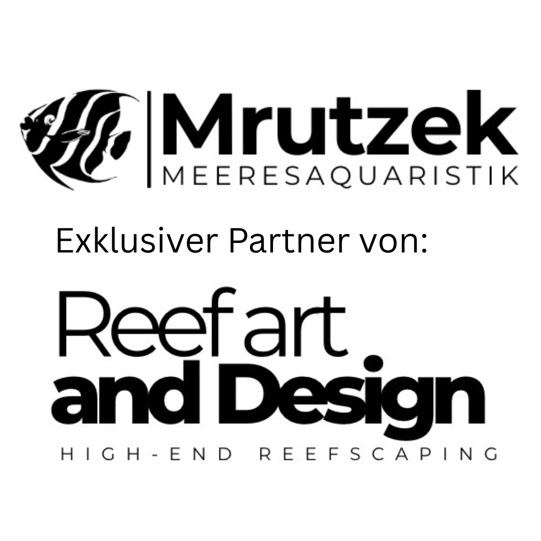 NEW: Reef Art and Design
