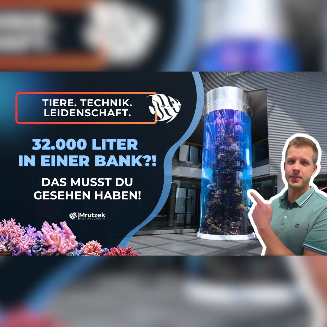 Meeresaquaristik News: 32.000 Liter Meerwasseraquarium