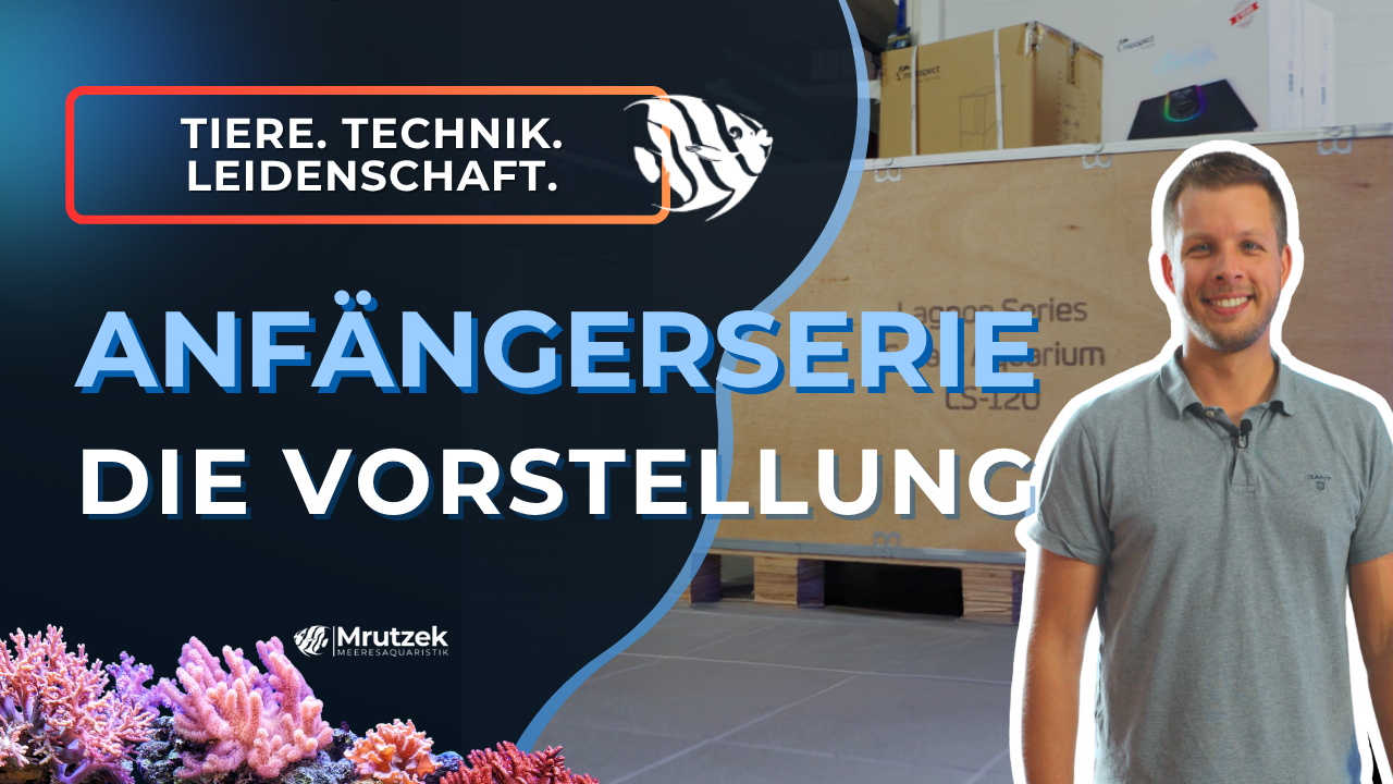 YouTube: Anfängerserie Teil 1