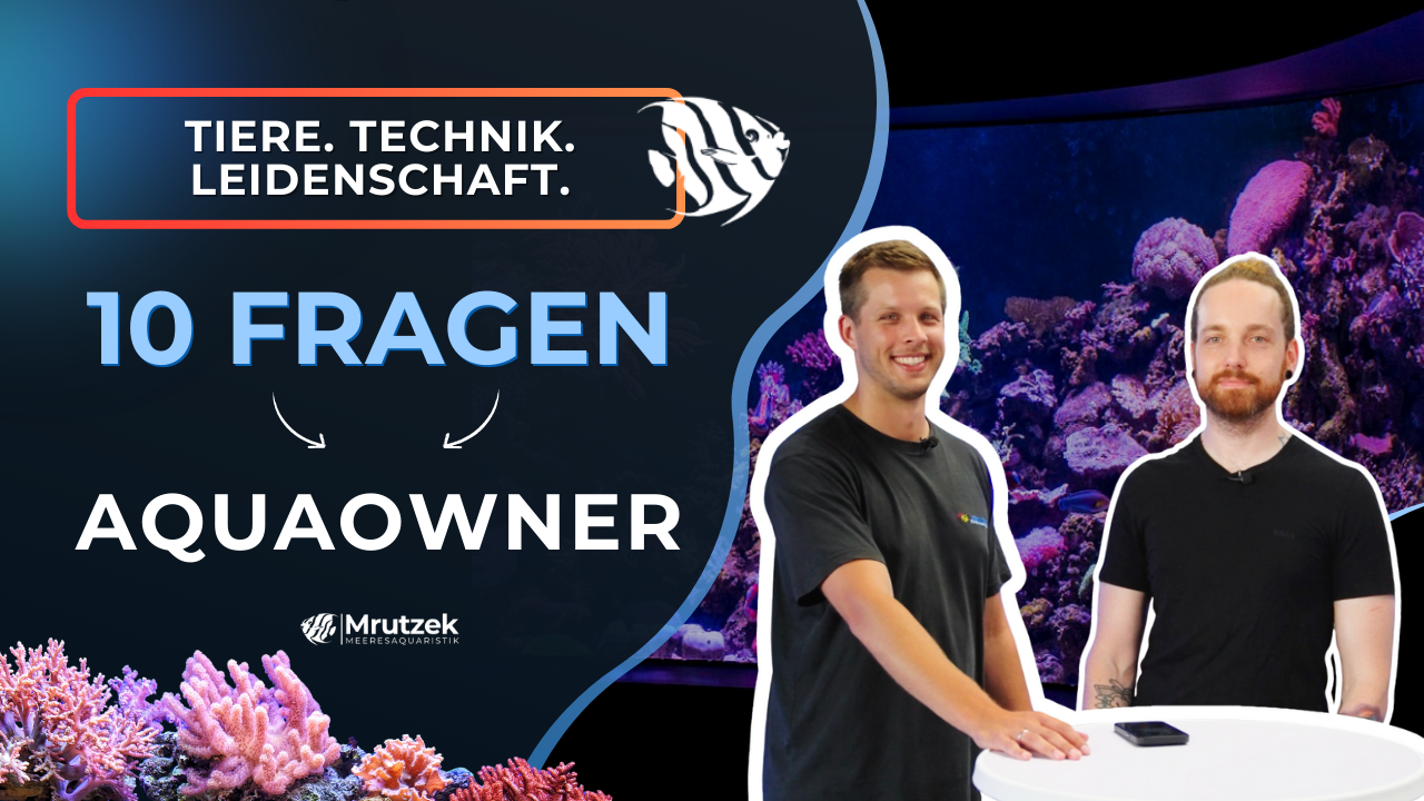 Neues YouTube Video: 10 Fragen an... Tobias Gawrisch (AquaOwner)