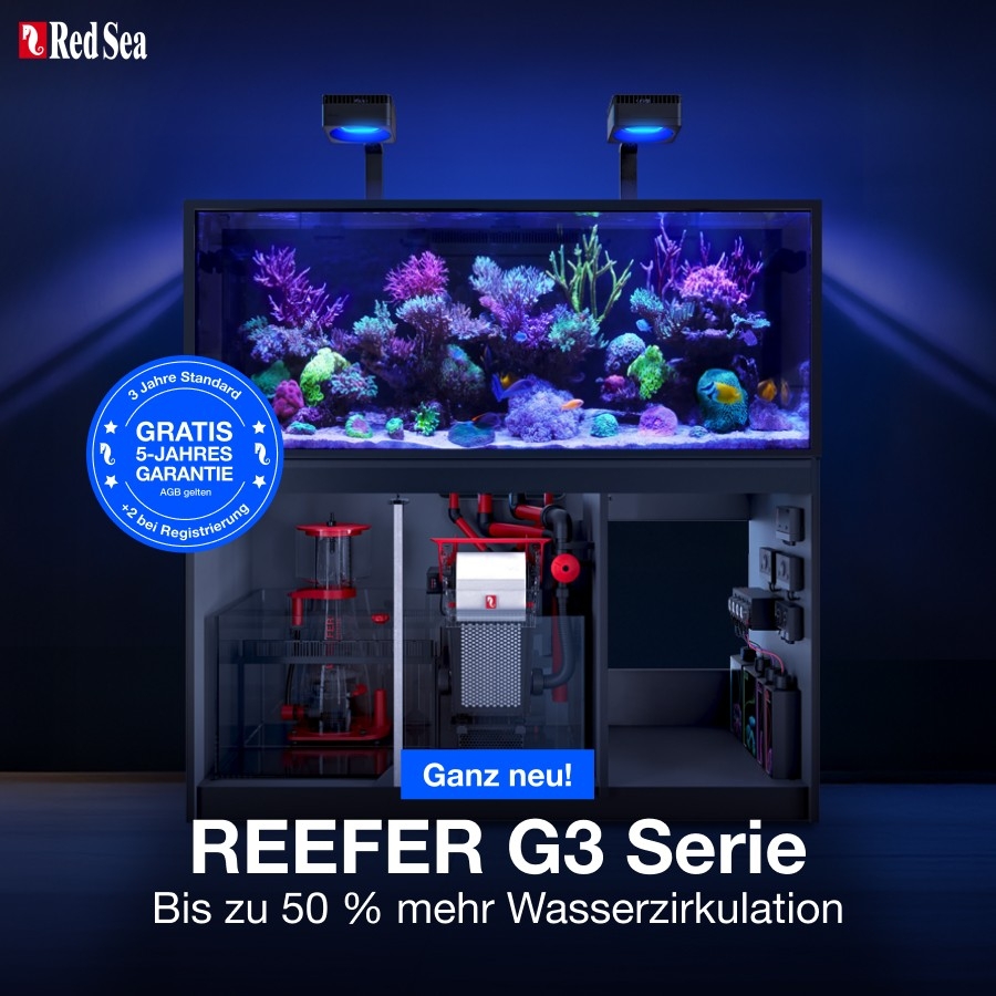Die neuen Red Sea G3 Aquarien: Jetzt bestellbar!