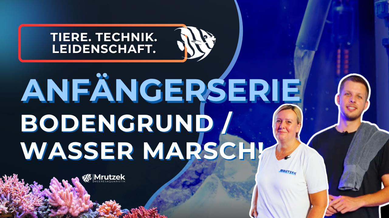 Teil 6: Meerwasseraquarium für Anfänger – Bodengrund & Wasser marsch!