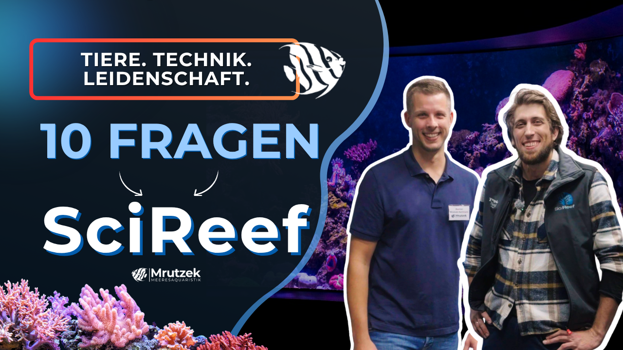 Youtube: 10 Fragen an... Samuel Nietzer (SciReef)