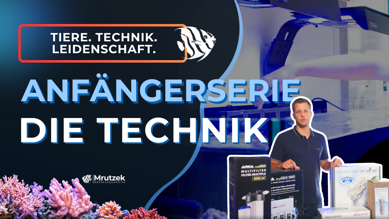 Teil 7: Meerwasseraquarium für Anfänger – Weitere Technik