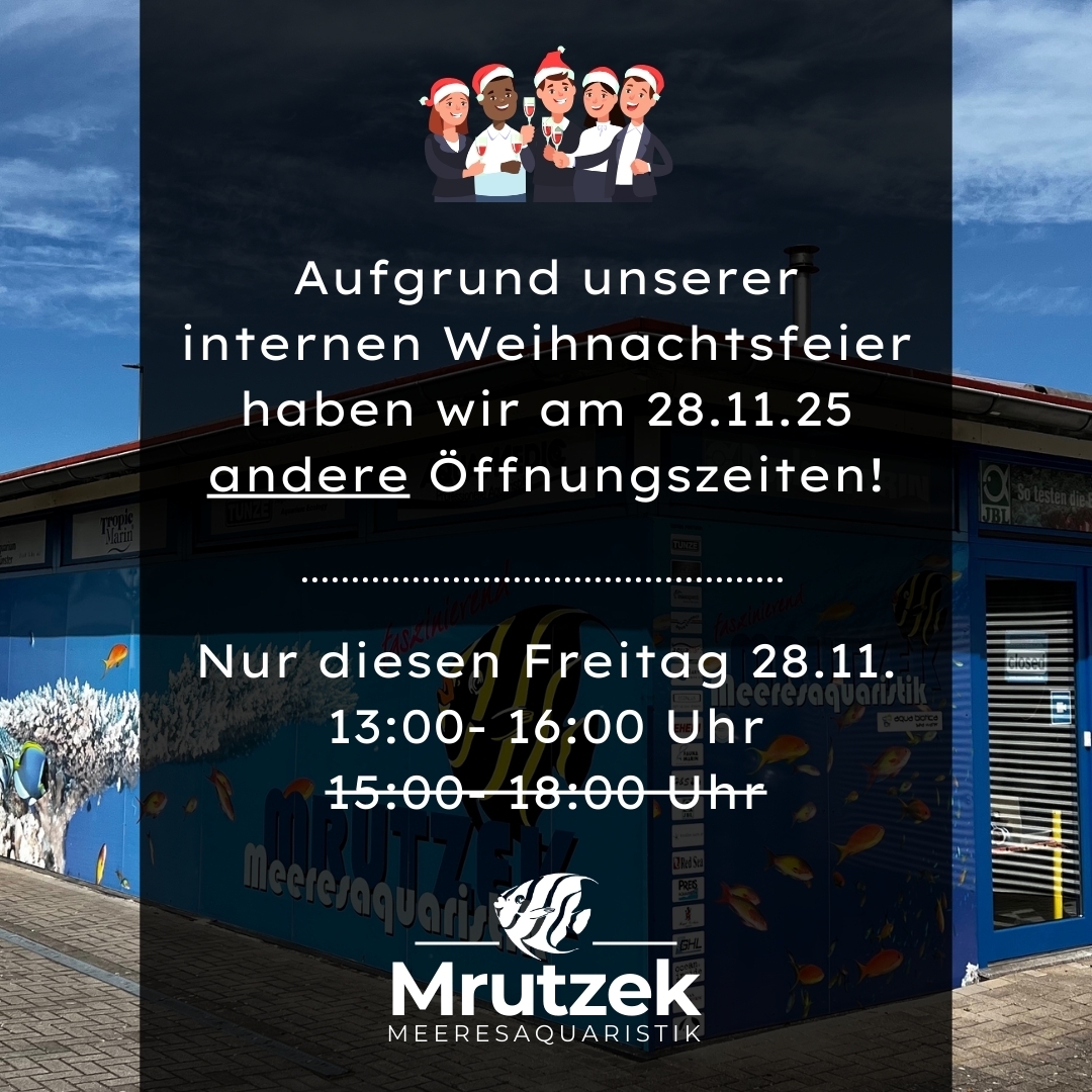 Meeresaquaristik News: Changed opening hours on Friday, November 28, 2025