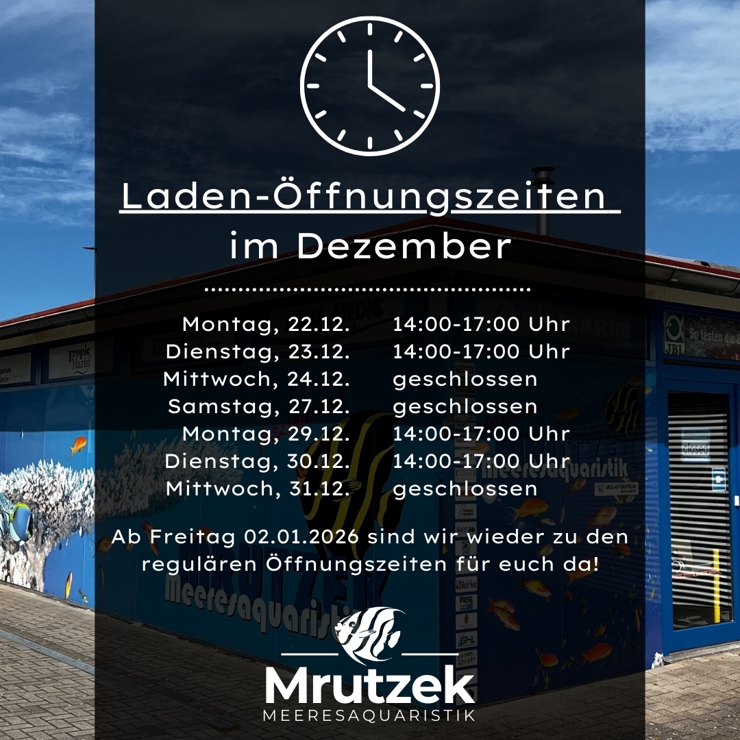 Laden-Öffnungszeiten im Dezember