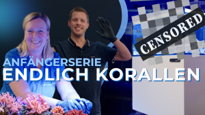 Meeresaquaristik News: Endlich Korallen! Meeresaquaristik News: Endlich Korallen!