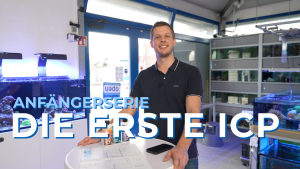 Neu auf YouTube: ICP Analyse richtig lesen und anwenden!