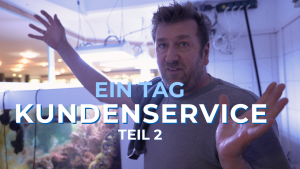 Meeresaquaristik News: YouTube: one service day with Lars
