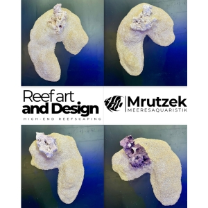 NEW: DIY Base von Reef Art and Design