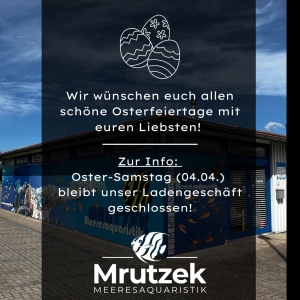 Meeresaquaristik News: Fachgeschäft am Ostersamstag geschlossen (04.04.26)