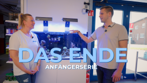 Meeresaquaristik News: YouTube: The grand finale our beginner series!