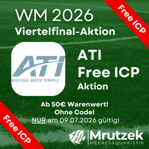 ATI Free ICP ab 50€ Warenwert