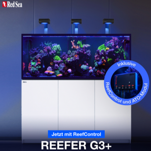 Meeresaquaristik News: NEW: Red Sea Reefer G3+ Meeresaquaristik News: NEW: Red Sea Reefer G3+