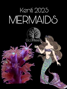 Meeresaquaristik News: Die SciReef A. Kenti MERMAIDS sind da