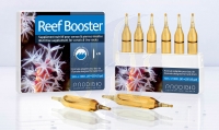 Prodibio REEF BOOSTER 6 Ampullen (120703)