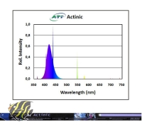 ATI - Actinic 24 Watt (1500008)