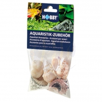 Hobby Sea Shells Set L / 5 x  Gehäuse für Einsiedler (40224)