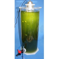 KnePo Planktonreaktor Luftbetrieben 14 Liter mit Leuchte (PLL-L-200-500)