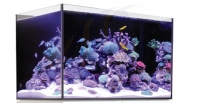 Red Sea Reefer 250 (NUR GLASBECKEN ALLEIN/Auf Anfrage) (R42166)