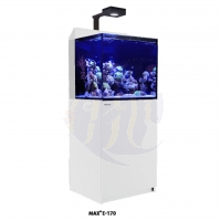 Red Sea MAX E - 170 LED / mit ReefLED 90- Weiß (R40031)