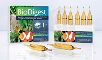 Prodibio BioDigest 6 Amp. (120700)