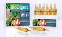 Prodibio BioDigest 12 Amp. (120701)