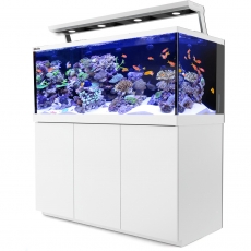 Red Sea Max S-650 LED Complete Reef System - Weiß (R40072)