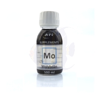 ATI Molybdän 100 ml (3520013)