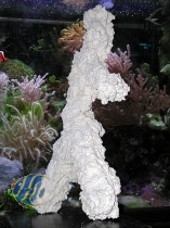 Korallenwelt Riffkeramik schmaler Ast (D56)