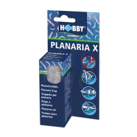 Hobby Planaria X Turbellarien Falle (61345)