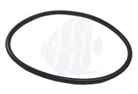 Tunze O-Ring für Filtergehäuse (8532.080)