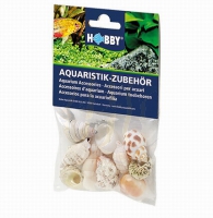 Hobby Sea Shells Set M /10 x  Gehäuse für Einsiedler (40222)