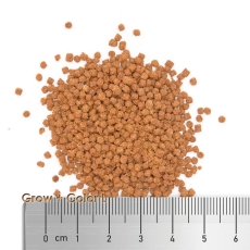 Bild zu Fauna Marin LPS Grow and Color L  60 g (18408)