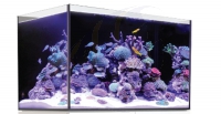 Red Sea REEFER Peninsula Systeme P650 NUR DAS GLASBECKEN ALLEIN (R42384)