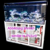 AquaPerfekt ReefTank Exklusiv 540 Liter (AP-1023)