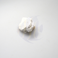 Bild zu Korallenwelt Ablegerplug flach für Lichtrasterplatte -10 Stück