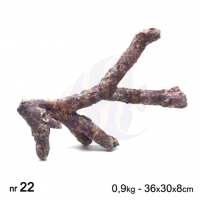 Dutch Reef Rock  Nr 22 Bone Rock / Ast