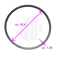 AquaBee Dichtungsring groß 42x2 für UP 2000/3000 (BEE-2000.14)