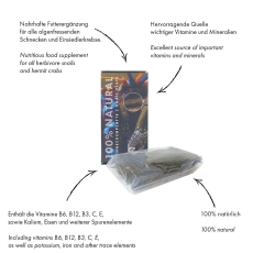 Bild zu Fauna Marin 100 % Natural Schneckenplatte (10491)